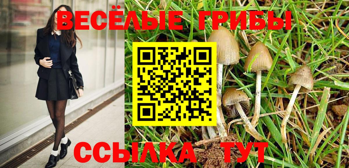 Галлюциногенные грибы MAGIC MUSHROOMS Псков